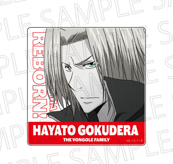 SR-GYM TV Anime "Reborn!" Acrylic Block Hayato Gokudera (Accent Color) รูปภาพ 1