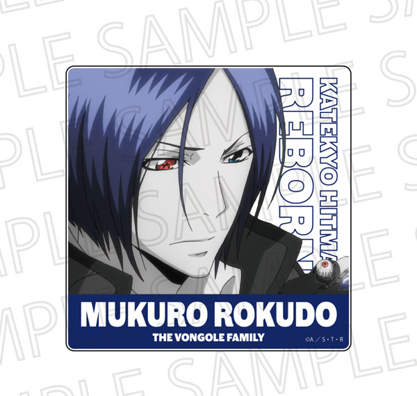 SR-GYM TV Anime "Reborn!" Acrylic Block Mukuro Rokudo (10 Years Later) (Accent Color) Bild 1