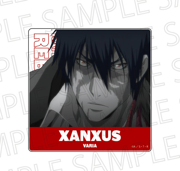SR-GYM TV Anime "Reborn!" Acrylic Block XANXUS (10 Years Later) (Accent Color) รูปภาพ 1