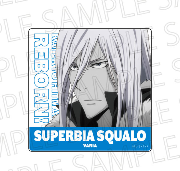 SR-GYM TV Anime "Reborn!" Acrylic Block Superbi Squalo (10 Years Later) (Accent Color) Bild 1