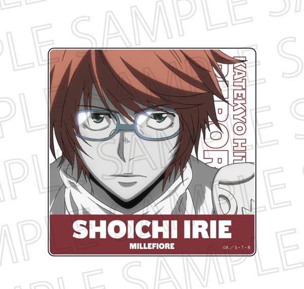 SR-GYM TV Anime "Reborn!" Acrylic Block Shoichi Irie (10 Years Later) (Accent Color) Bild 1