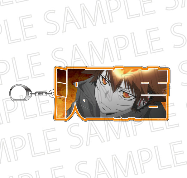 SR-GYM TV Anime "Reborn!" Name Frame Keychain mini Tsunayoshi Sawada (Accent Color) Bild 1