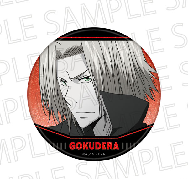 SR-GYM TV Anime "Reborn!" Glitter Tin Badge Hayato Gokudera (Accent Color) รูปภาพ 1