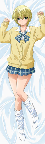 Matsumoto Shouji Strawberry 100% New Illustration Premium Hugging Pillow Cover Tsukasa Nishino Bild 1
