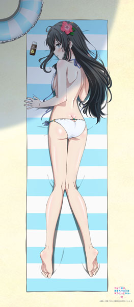 Matsumoto Shouji My Teen Romantic Comedy SNAFU. Completion New Illustration Big Wall Scroll Yukino Yukinoshita (Swimsuit Ver.) Bild 1