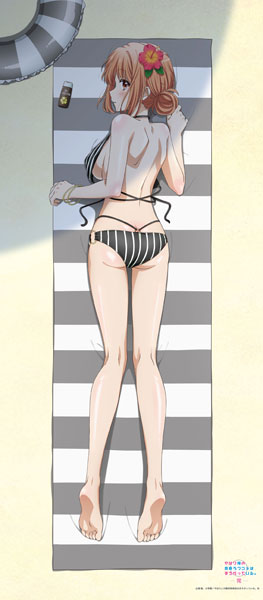 Matsumoto Shouji My Teen Romantic Comedy SNAFU. Completion New Illustration Big Wall Scroll Yuigahama Haha (Swimsuit Ver.) รูปภาพ 1