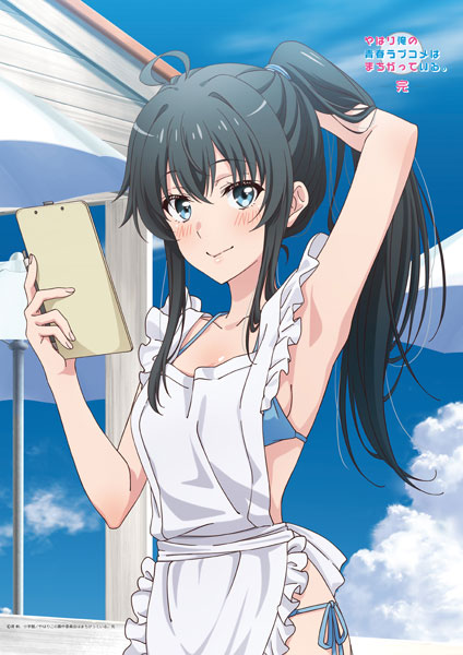 Matsumoto Shouji My Teen Romantic Comedy SNAFU. Completion New Illustration B2 Wall Scroll Yukino Yukinoshita (Beach Hut Ver.)