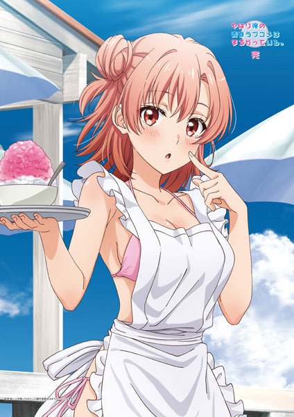 Matsumoto Shouji My Teen Romantic Comedy SNAFU. Completion New Illustration B2 Wall Scroll Yui Yuigahama (Beach Hut Ver.)