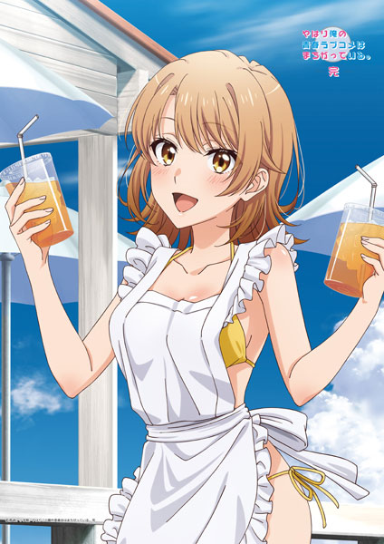 Matsumoto Shouji My Teen Romantic Comedy SNAFU. Completion New Illustration B2 Wall Scroll Iroha Isshiki (Beach Hut Ver.)