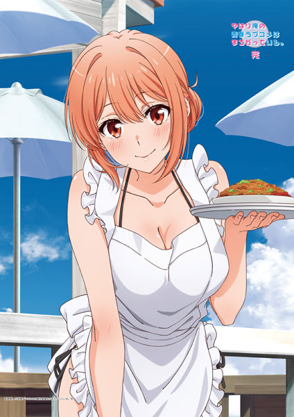 Matsumoto Shouji My Teen Romantic Comedy SNAFU. Completion New Illustration B2 Wall Scroll Yuigahama Haha (Beach Hut Ver.) รูปภาพ 1