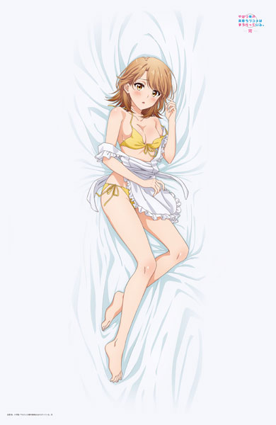 Matsumoto Shouji My Teen Romantic Comedy SNAFU. Completion New Illustration Towel Blanket Iroha Isshiki (Beach Hut Ver.)