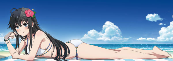 Matsumoto Shouji My Teen Romantic Comedy SNAFU. Completion New Illustration Bench Sheet Cushion Yukino Yukinoshita (Swimsuit Ver.)