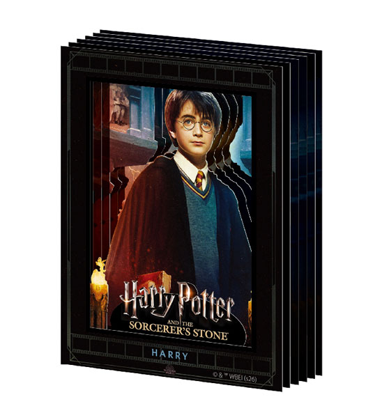 Ensky Paper Shadow Art Mini Harry Potter SA-M59 Harry Bild 1