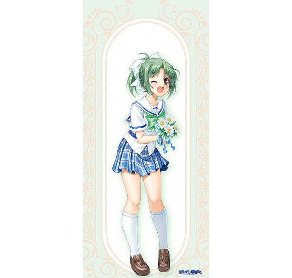 Curtain Damashii [Yoake Mae yori Ruriiro na] Jumbo Wall Scroll (Midori Toyama / 20th Anniversary)