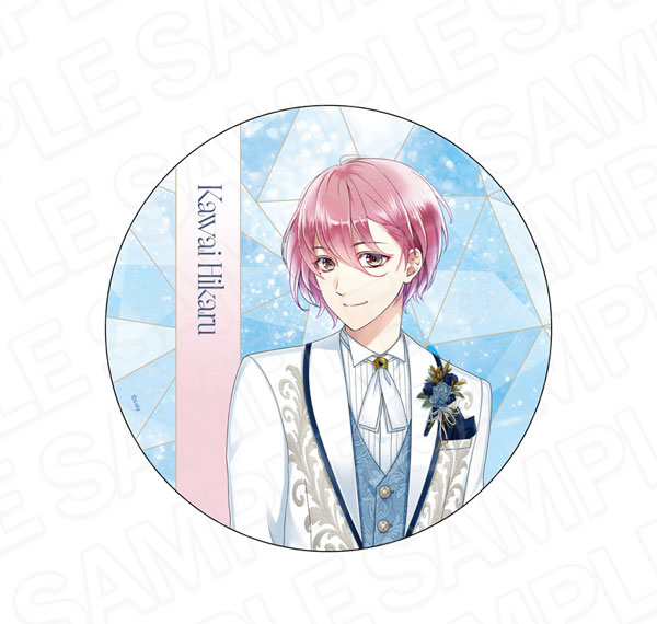 Contents Seed Stand My Heroes 10th Anniversary De-Can Badge Hikaru Kawai