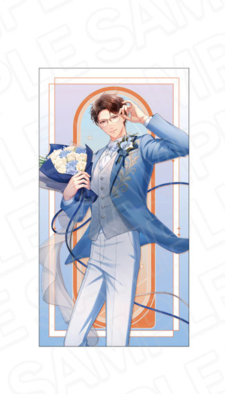 Contents Seed Stand My Heroes 10th Anniversary Long Cushion Tsukasa Asagiri