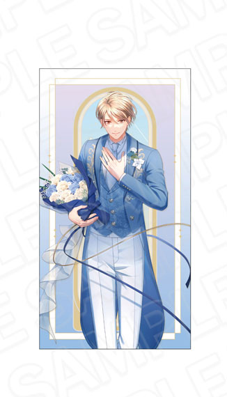 Contents Seed Stand My Heroes 10th Anniversary Long Cushion Takaomi Hiyama