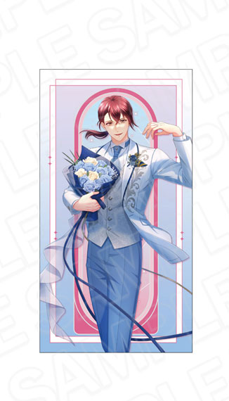 Contents Seed Stand My Heroes 10th Anniversary Long Cushion Hatori Otani รูปภาพ 1