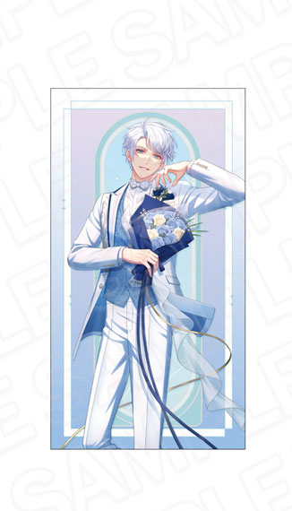 Contents Seed Stand My Heroes 10th Anniversary Long Cushion Kaname Yamazaki