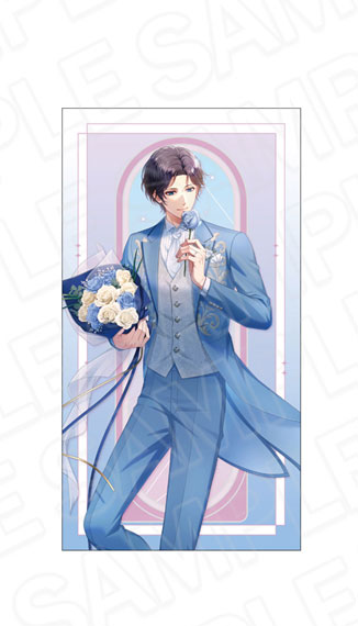Contents Seed Stand My Heroes 10th Anniversary Long Cushion Go Miyase