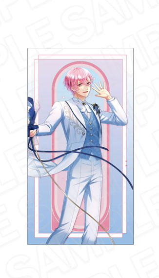 Contents Seed Stand My Heroes 10th Anniversary Long Cushion Hikaru Kawai