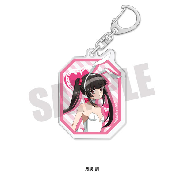 Playful Mind Company Senki Zessho Symphogear Acrylic Keychain Shirabe Tsukuyomi White Bunny ver.