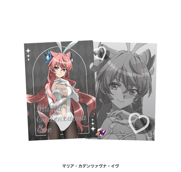Playful Mind Company Senki Zessho Symphogear A4 Clear File Maria Cadenzavna Eve White Bunny ver.