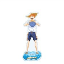 Toho Haikyu!! Acrylic Stand Beach Ball Ver. Shoyo Hinata