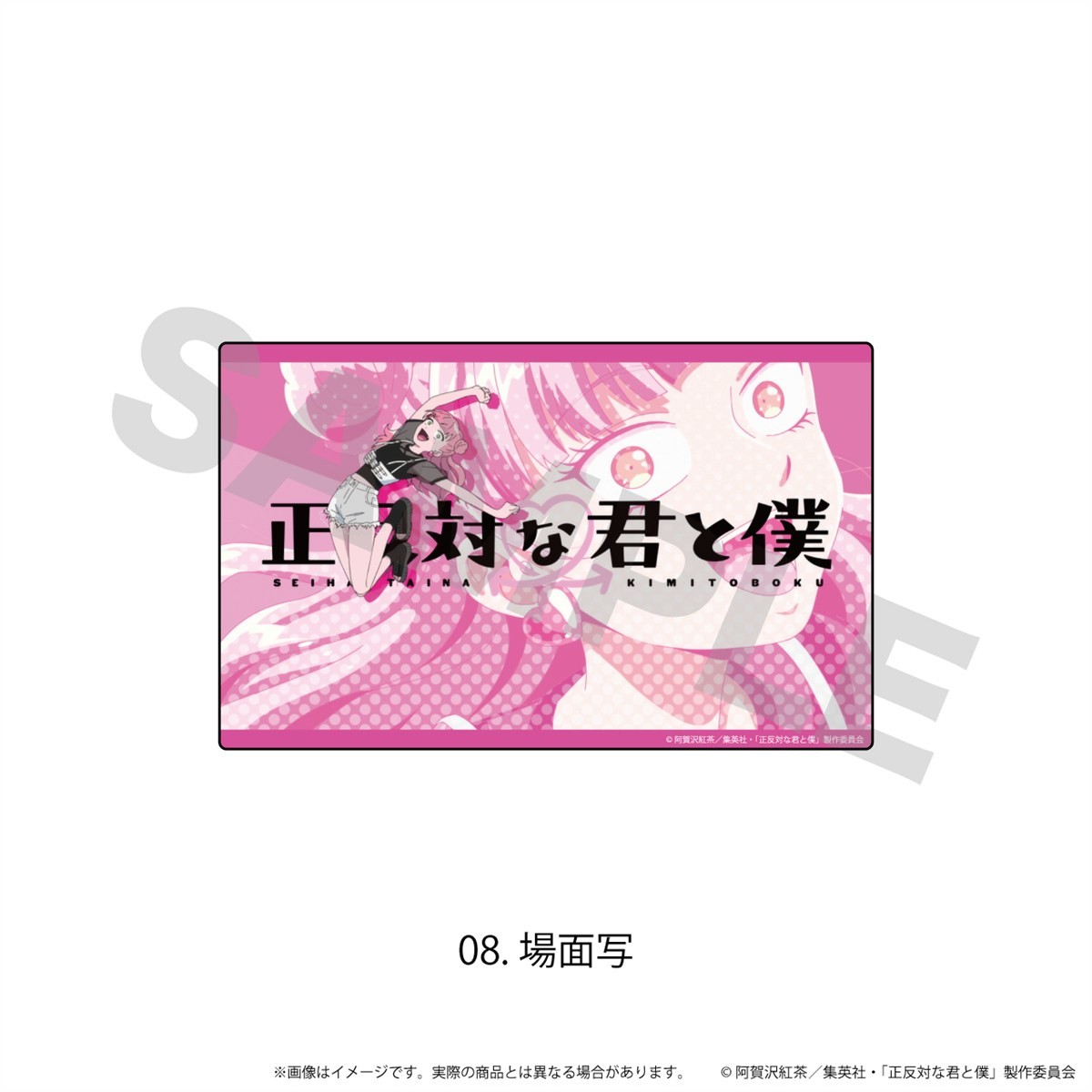 N&amp;E Acrylic Sticker [You and I Are Polar Opposites] 08 / (Scene Picture) (Anime Toy) Bild 2