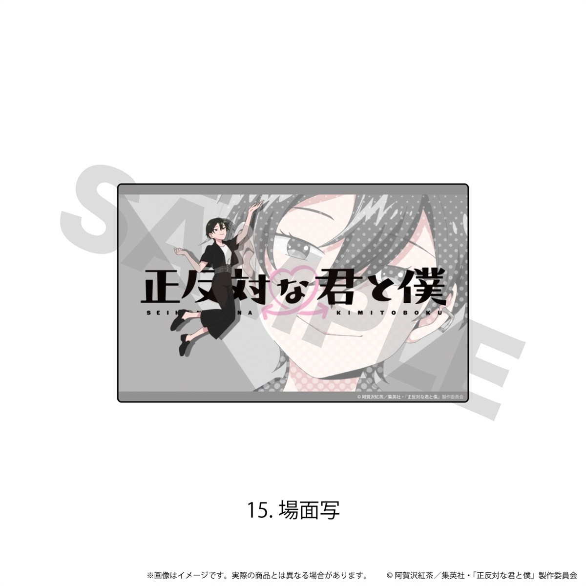 N&amp;E Acrylic Sticker [You and I Are Polar Opposites] 15 / (Scene Picture) (Anime Toy) 圖片 2