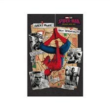 In Rock Spider-Man: Brand New Day 3D Postcard B (Anime Toy)