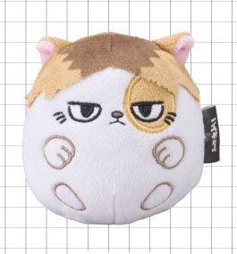 Eye Up Haikyu!! Nuicoron (Kenma-neko) รูปภาพ 2