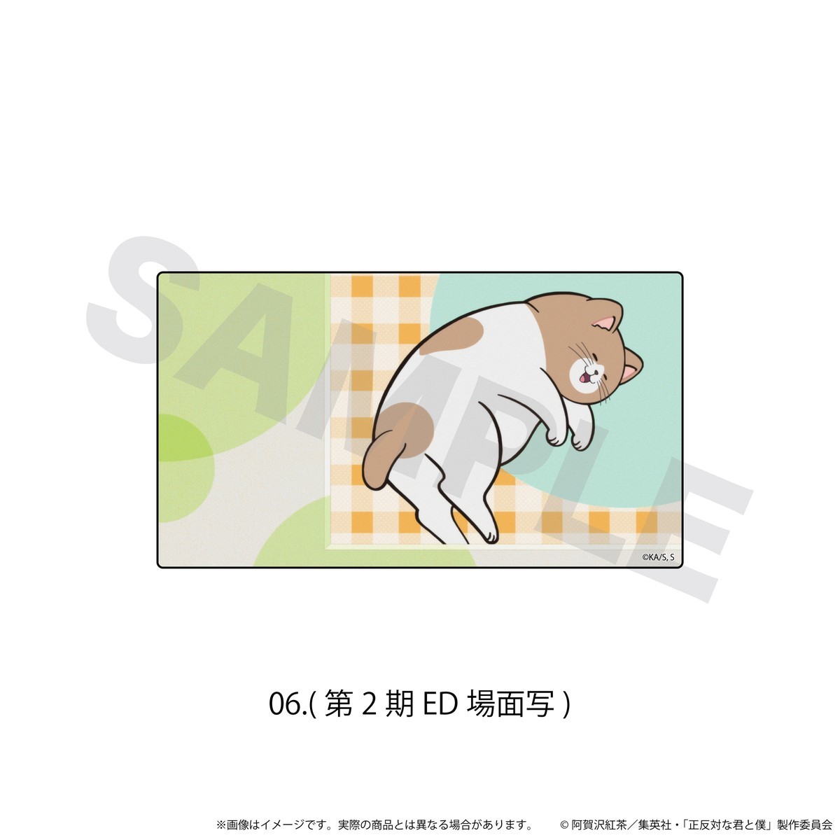 N&E Acrylic Sticker [You and I Are Polar Opposites] 06/(Season 2 ED Scene Picture) รูปภาพ 2