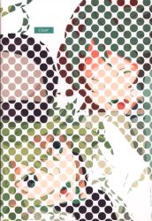 plastics (Kinari) clear *Reprint/Re-Recording รูปภาพ 1