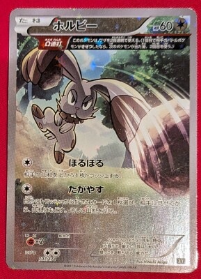 Pokemon XY 107/171 Holby (Mirror) hình ảnh 1