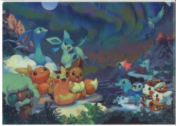 Aurora tour Clear File
