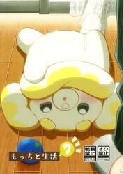 Where (Mochipikari) Life with Mochi 7