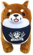 ぬいぐるみ おかか ぬいぐるみ(L) 「忠犬もちしば」 Bild 1