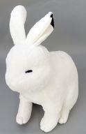 ぬいぐるみ ホッキョクウサギ(細目) ウルトラBIG ぬいぐるみ 「ふんわりホッキョクウサギ」