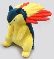 ぬいぐるみ バクフーン ぬいぐるみ 「ポケットモンスター」 ポケモンセンター限定
