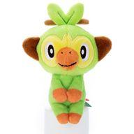 ぬいぐるみ サルノリ ちょっこりさん ぬいぐるみ 「ポケットモンスター」