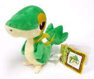 ぬいぐるみ ツタージャ ポケモンキャンバスぬいぐるみ 「ポケットモンスター」