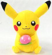 ぬいぐるみ ピカチュウ ぬいぐるみ 「一番くじ ポケモンわくわくゲットくじ 〜草むら探検隊!〜」 E賞 รูปภาพ 1