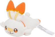 ぬいぐるみ ヒバニー 洗えるぬいぐるみ 「ポケットモンスター」 ポケモンセンター限定