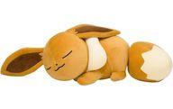 ぬいぐるみ すやすやイーブイ ぬいぐるみ 「ポケットモンスター」 ポケモンセンター限定 imagen 1