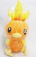 ぬいぐるみ アチャモ ポケモンキャンバスぬいぐるみ 「ポケットモンスター」 ポケモンセンター限定 hình ảnh 1