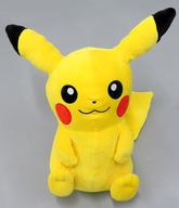 ぬいぐるみ まったりピカチュウ ぬいぐるみ 「ポケットモンスター ブリリアントダイヤモンド・シャイニングパール 発売記念くじ」 B賞 画像 1