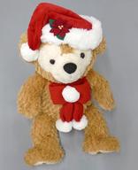 ぬいぐるみ ダッフィー(ダッフィー＆フレンズのウィンターホリデー/カラー・オブ・クリスマス) ぬいぐるみ 「Duffy and Friends-ダッフィー＆フレンズ-」 東京ディズニーシー限定