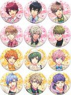 バッジ・ピンズ 全12種セット 春夏組 缶バッジ 「一番くじ A3!〜Beautiful Seasons〜」 I賞