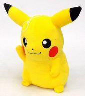 ぬいぐるみ ピカチュウ でっかいぬいぐるみ〜ピカチュウ・変身メタモン〜 「ポケットモンスターXY＆Z」 圖片 1